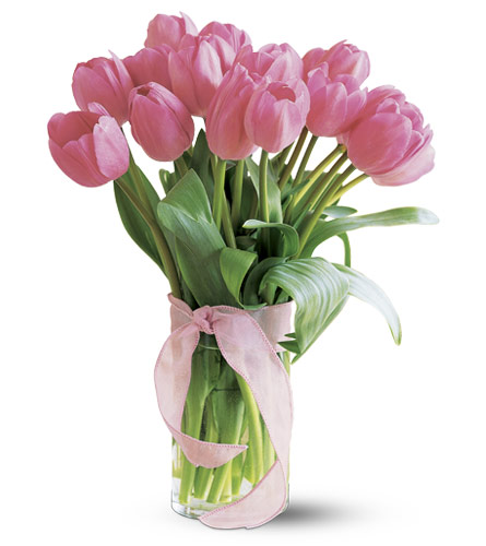 Pink Tulips